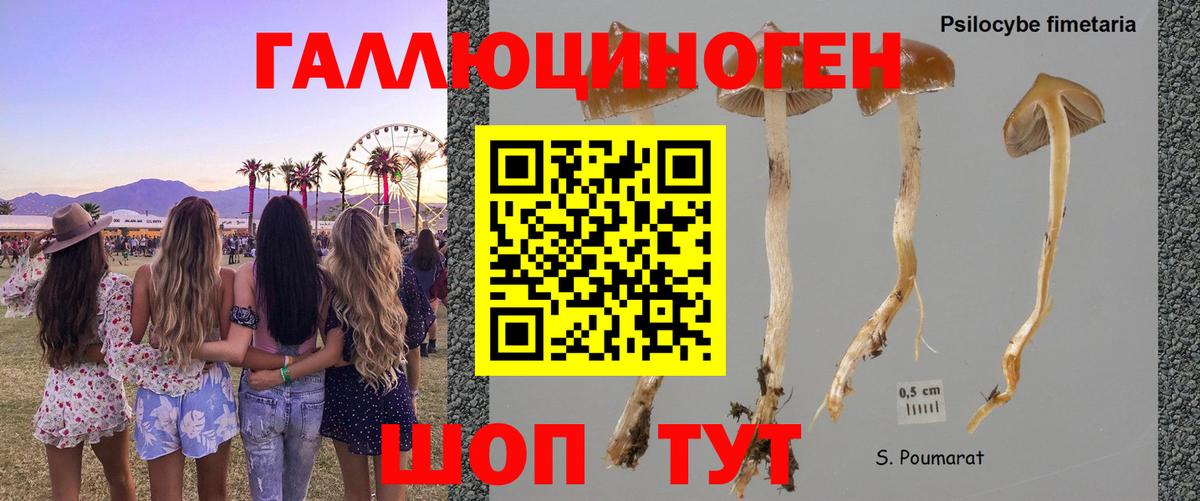Мирный  Псилоцибиновые грибы ЛСД  Вход с VPN 